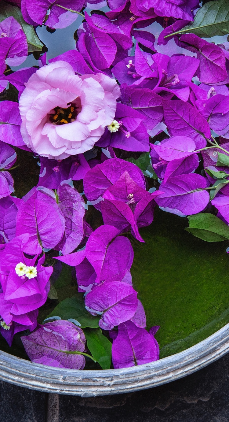 Flower Powered Tasting Kitchen (TK)