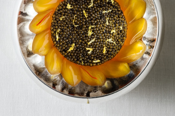 Alain Ducasse Tradition Évolution Pralinés 