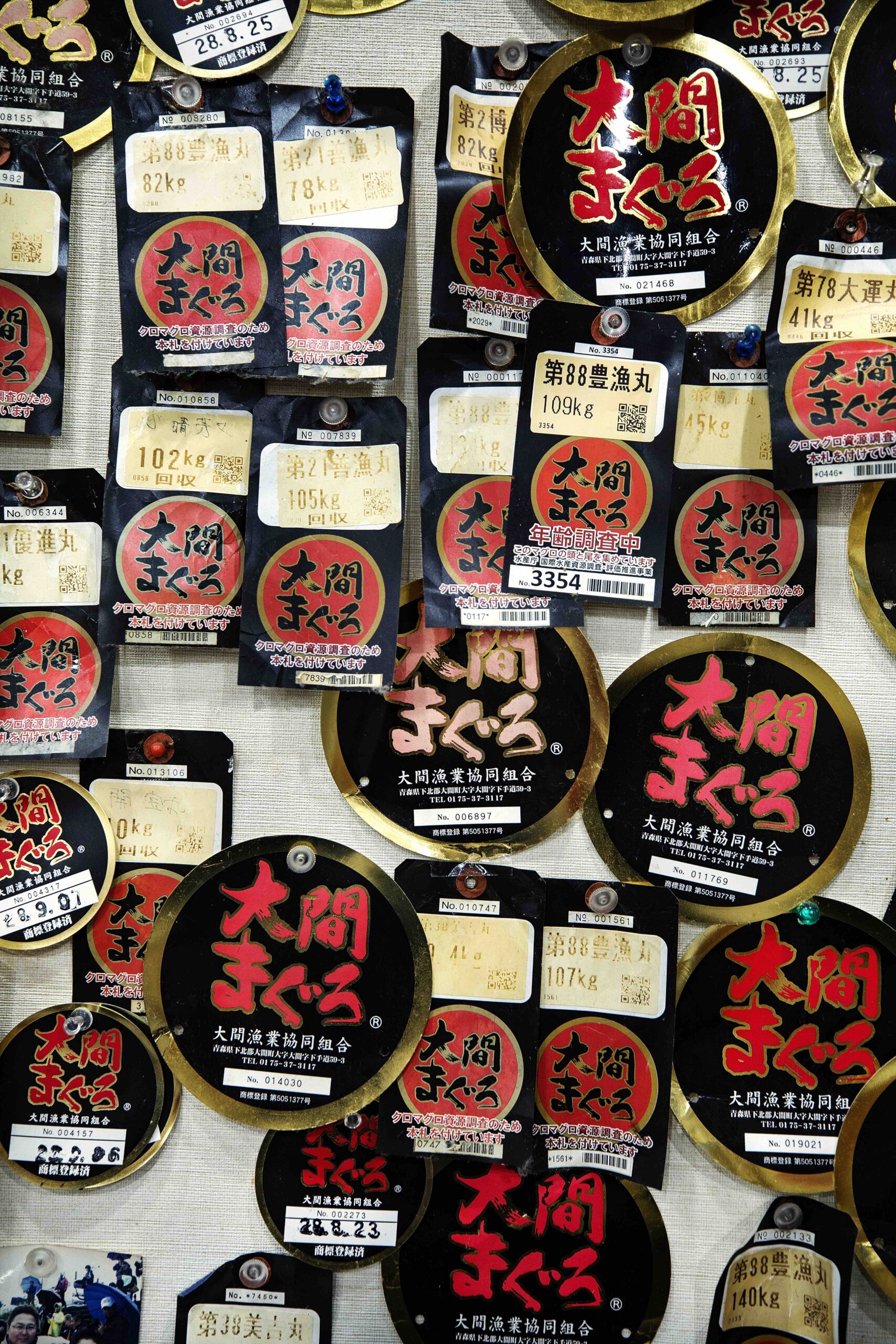 海洋之王| 大間| Tasting Kitchen (TK)